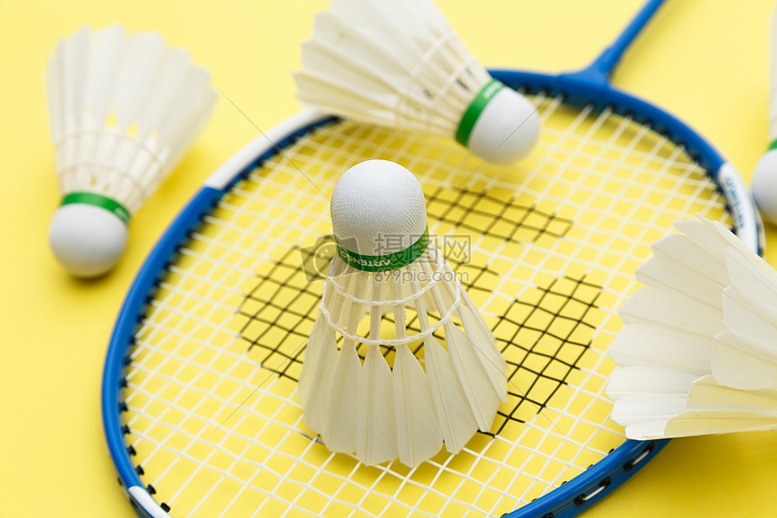 能进行简单 能进行简单