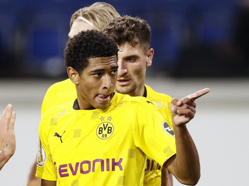 球迷和专家 球迷和专家